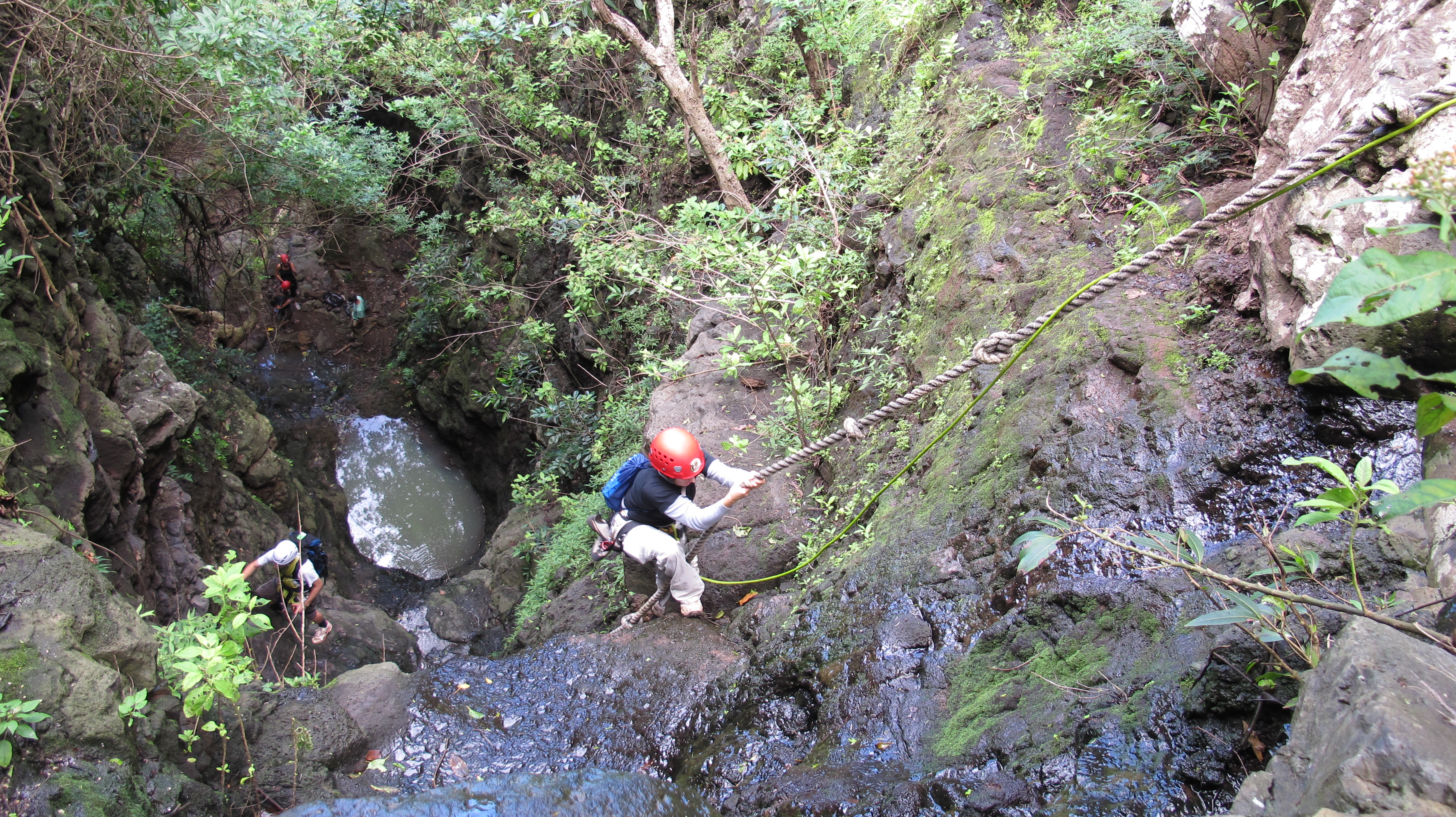 CLIMBING 201 - Jungle Ascent